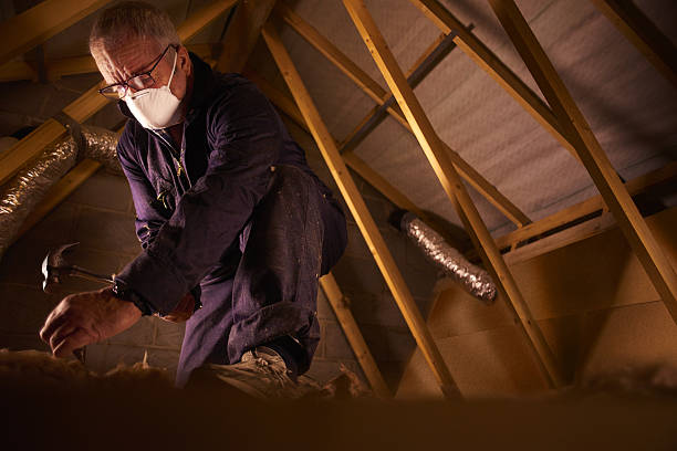 Best Residential Insulation in Shamokin, PA